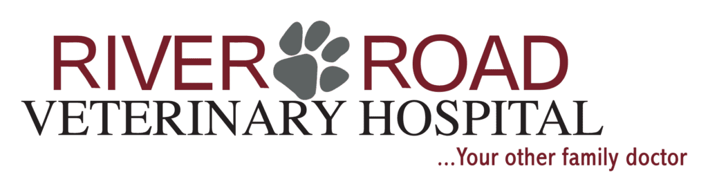 Dr. Darryn Remillard - River Road Veterinary Hospital