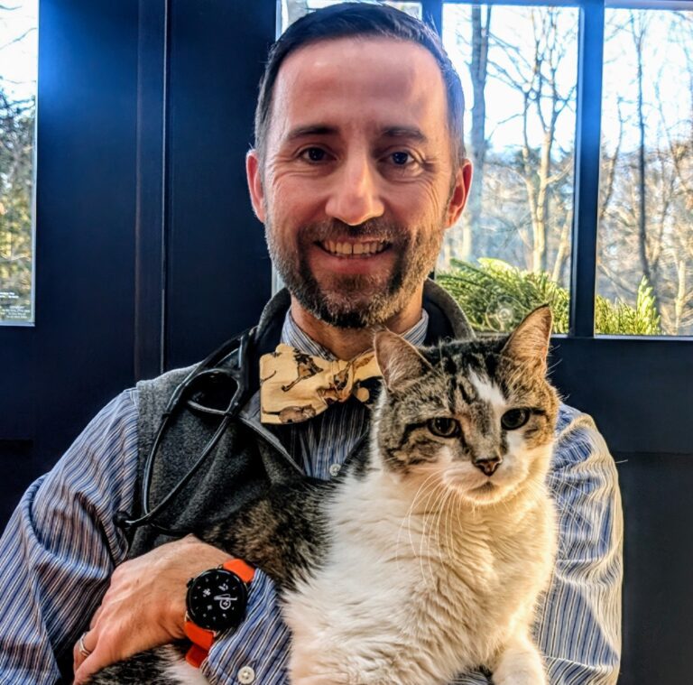 Dr. Darryn Remillard, veterinarian, holding a tabby cat.